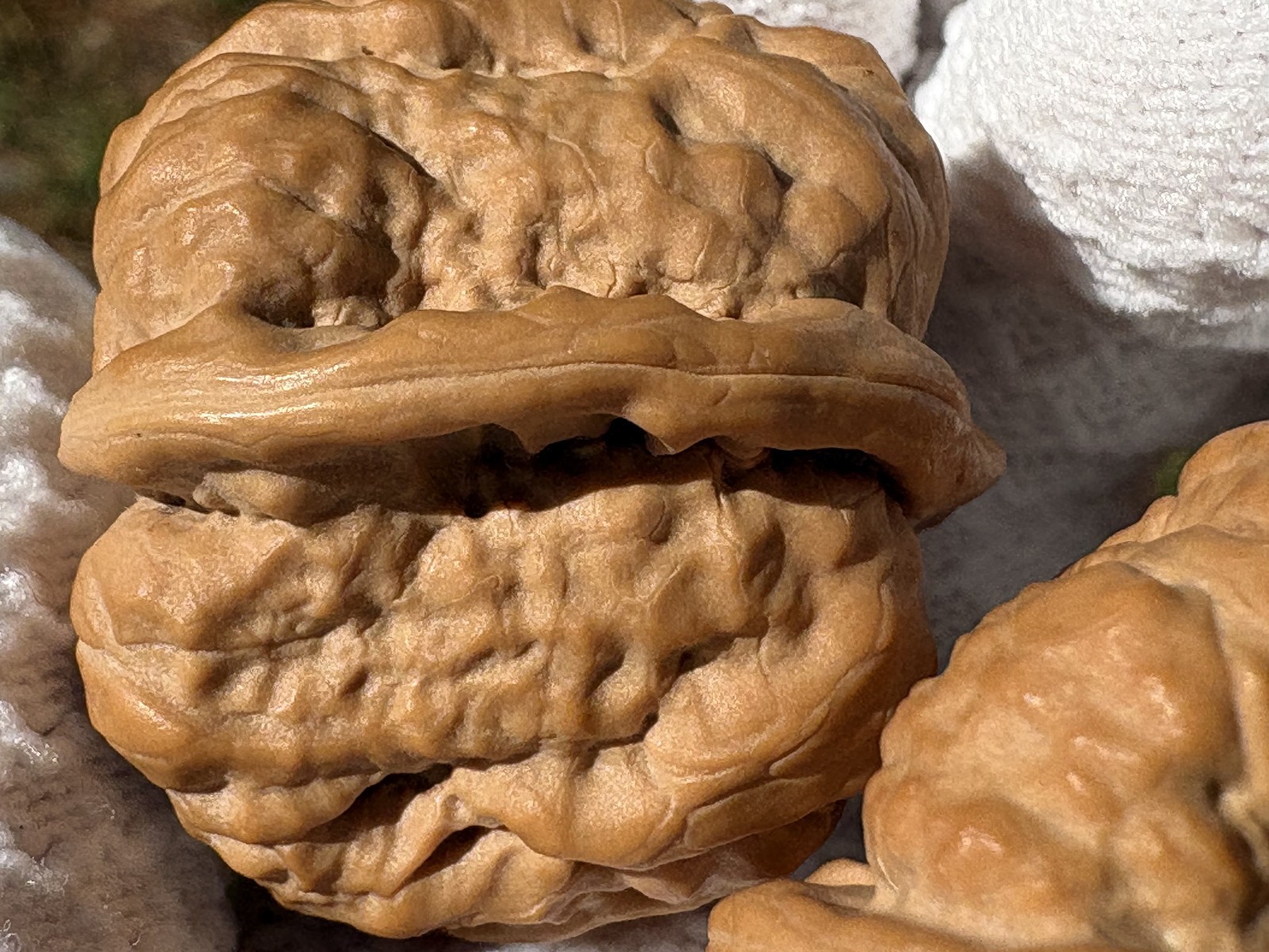 Wenwan Walnuts hand massage Jin Chan Ha Ma Tou Toad head