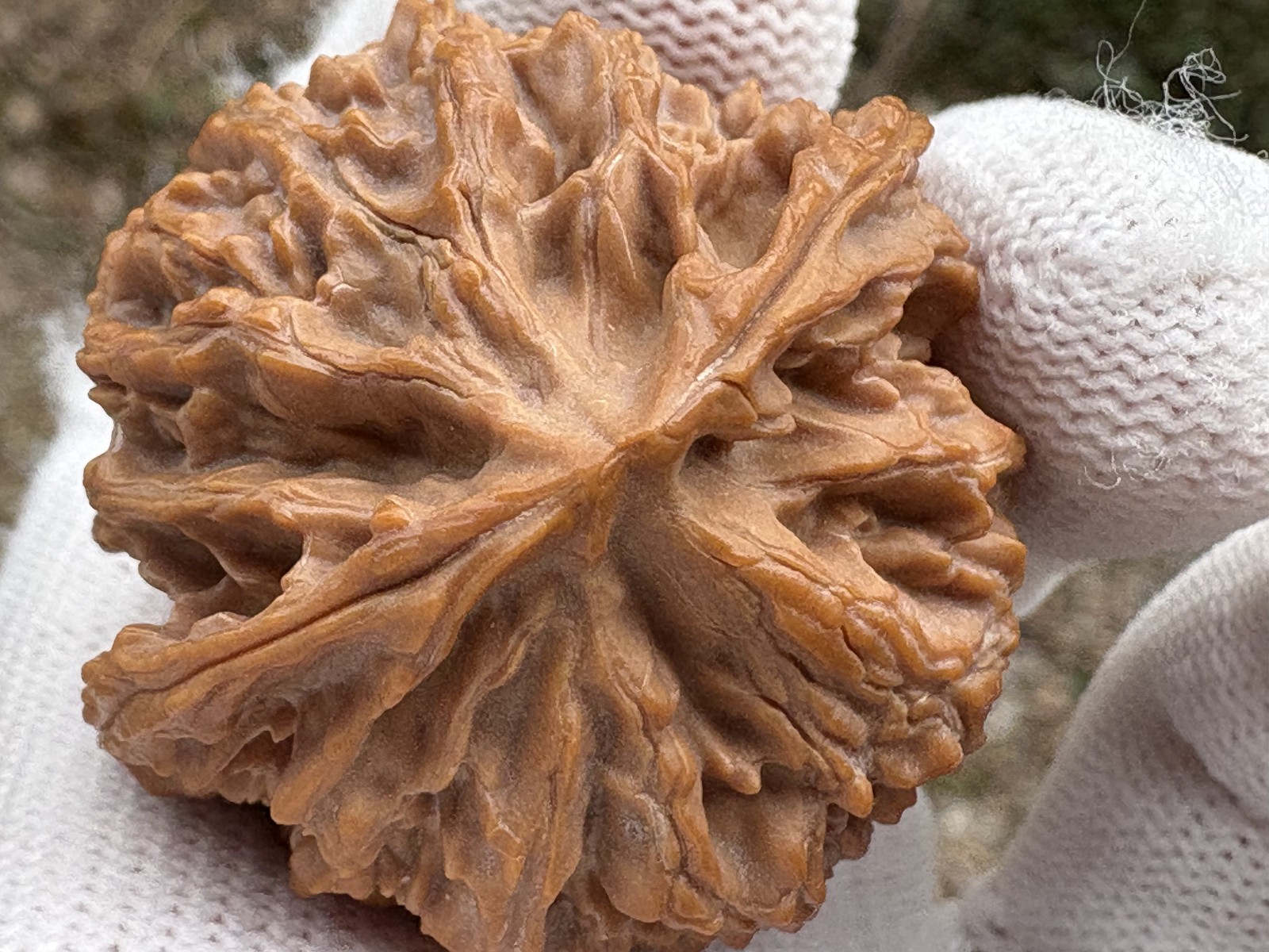 Wenwan Walnuts Ping Guo Yuan Shi Zi Tou hand massage ball