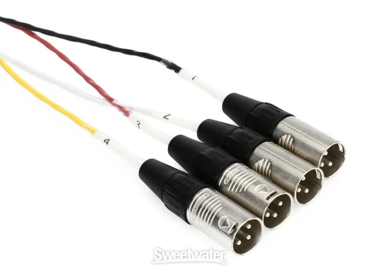 Pro Co SMAST 4-channel XLR Drop Snake – 25′