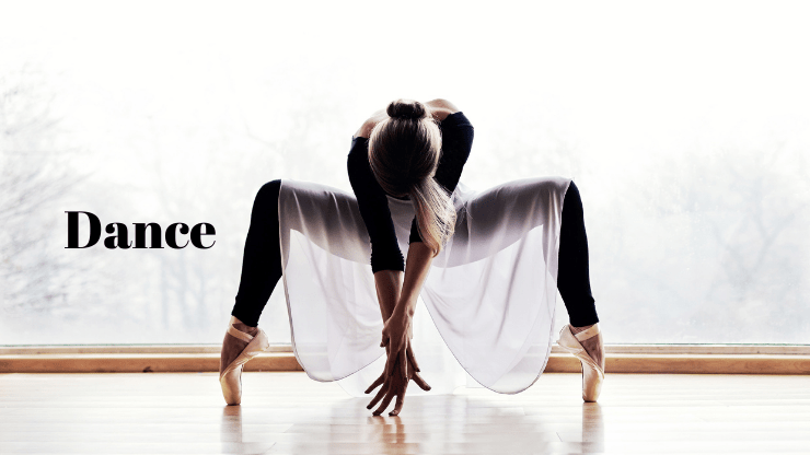 course dance Ajivasan Music and Dance Academy